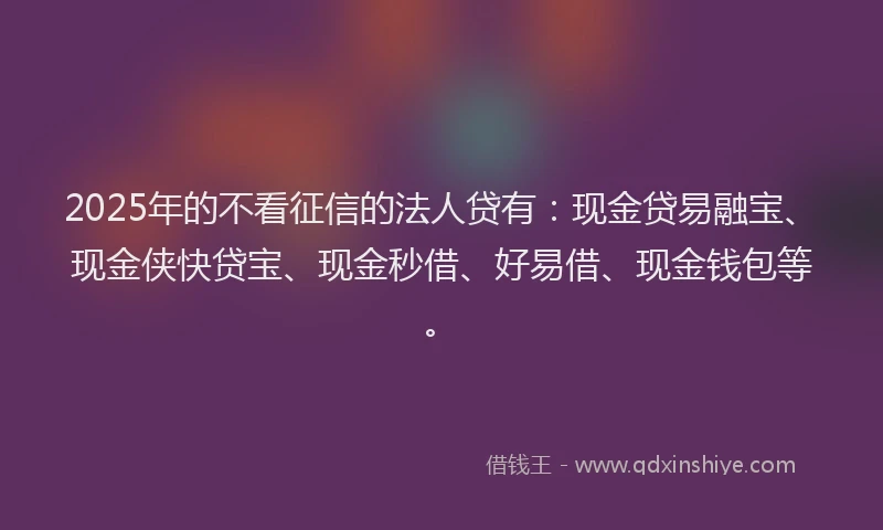 2025年的不看征信的法人贷有：现金贷易融宝、现金侠快贷宝、现金秒借、好易借、现金钱包等。