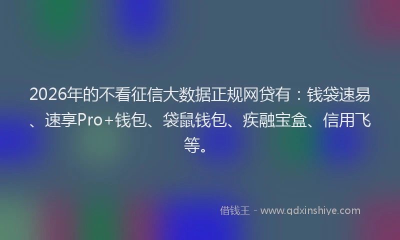 2026年的不看征信大数据正规网贷有:钱袋速易、速享Pro+钱包、袋鼠钱包、疾融宝盒、信用飞等。