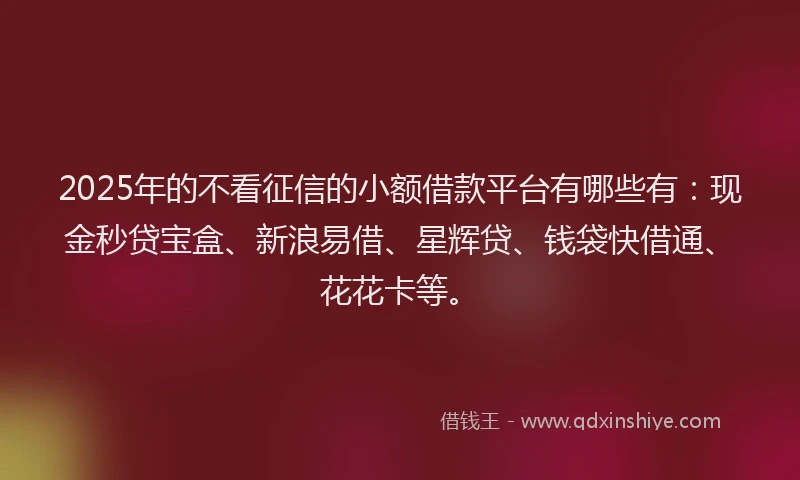 2025年的不看征信的小额借款平台有哪些有：现金秒贷宝盒、新浪易借、星辉贷、钱袋快借通、花花卡等。