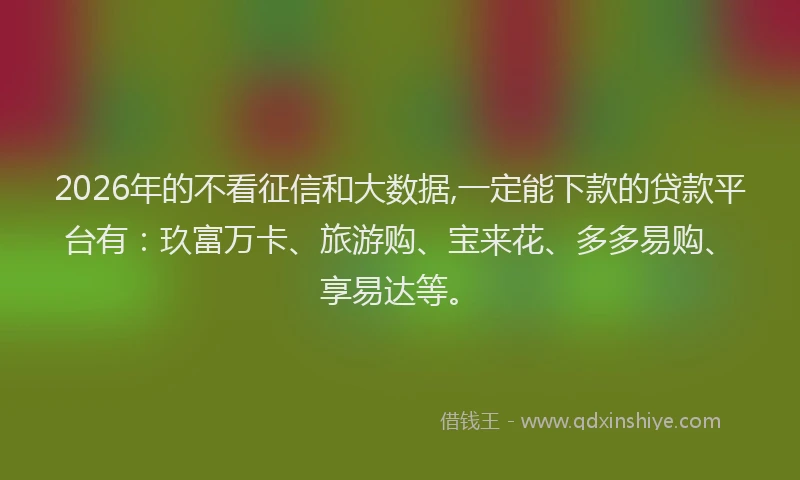 2026年的不看征信和大数据,一定能下款的贷款平台有:玖富万卡、旅游购、宝来花、多多易购、享易达等。
