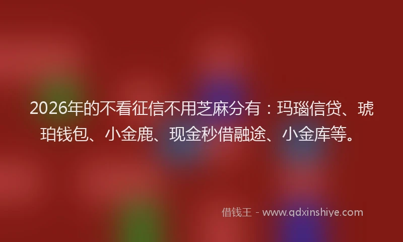 2026年的不看征信不用芝麻分有：玛瑙信贷、琥珀钱包、小金鹿、现金秒借融途、小金库等。