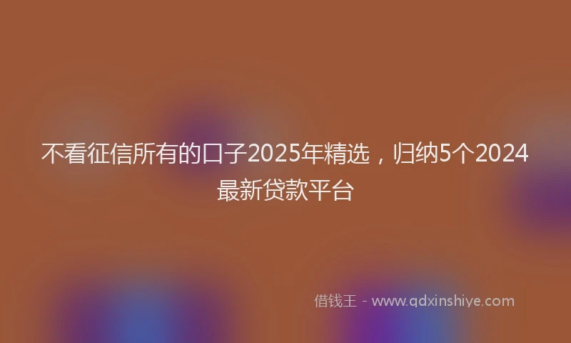 不看征信所有的口子2025年精选，归纳5个2024最新贷款平台