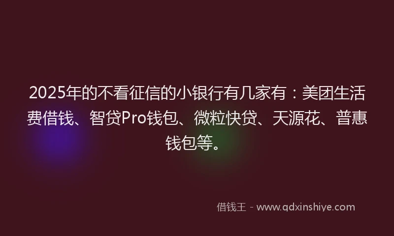 2025年的不看征信的小银行有几家有：美团生活费借钱、智贷Pro钱包、微粒快贷、天源花、普惠钱包等。