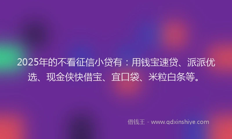2025年的不看征信小贷有：用钱宝速贷、派派优选、现金侠快借宝、宜口袋、米粒白条等。