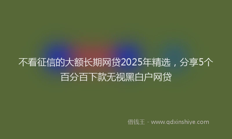 不看征信的大额长期网贷2025年精选，分享5个百分百下款无视黑白户网贷