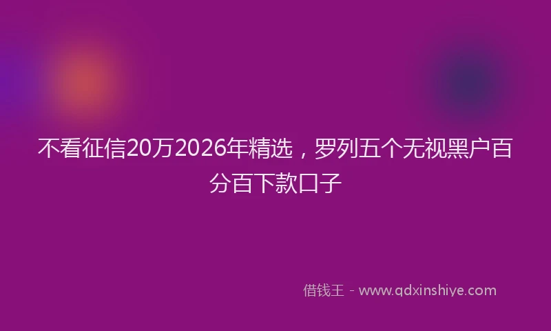 不看征信20万2026年精选，罗列五个无视黑户百分百下款口子
