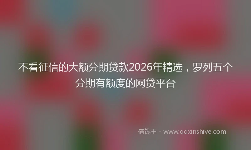不看征信的大额分期贷款2026年精选,罗列五个分期有额度的网贷平台