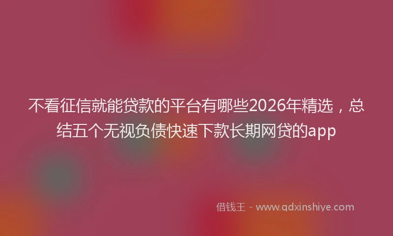不看征信就能贷款的平台有哪些2026年精选，总结五个无视负债快速下款长期网贷的app