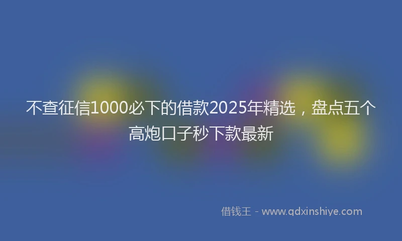 不查征信1000必下的借款2025年精选,盘点五个高炮口子秒下款最新
