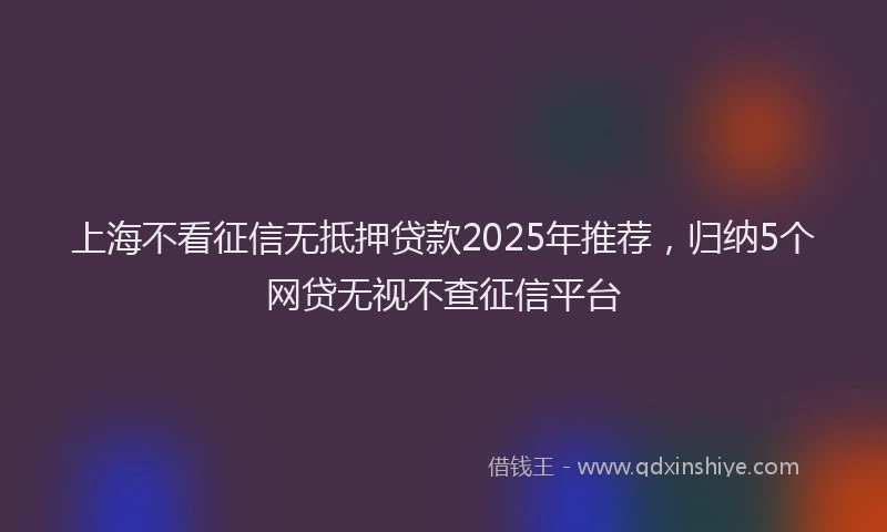 上海不看征信无抵押贷款2025年推荐，归纳5个网贷无视不查征信平台