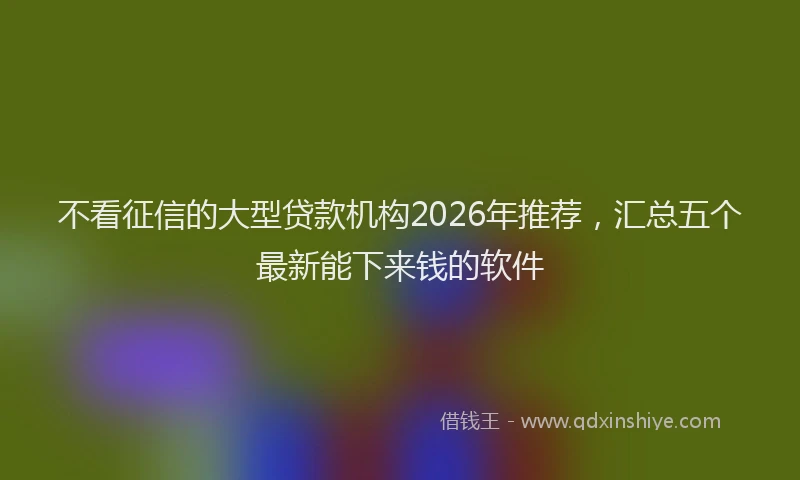 不看征信的大型贷款机构2026年推荐，汇总五个最新能下来钱的软件