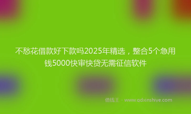 不愁花借款好下款吗2025年精选，整合5个急用钱5000快审快贷无需征信软件
