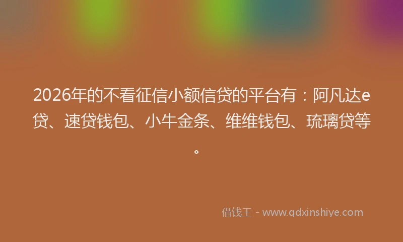 2026年的不看征信小额信贷的平台有：阿凡达e贷、速贷钱包、小牛金条、维维钱包、琉璃贷等。