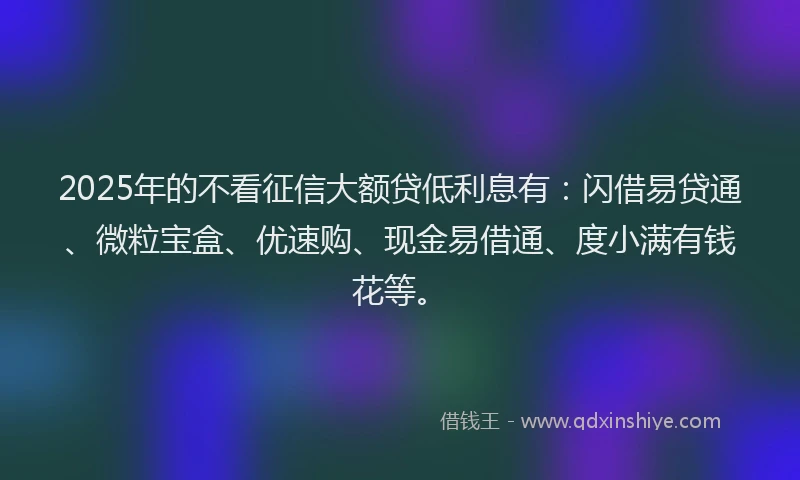 2025年的不看征信大额贷低利息有：闪借易贷通、微粒宝盒、优速购、现金易借通、度小满有钱花等。
