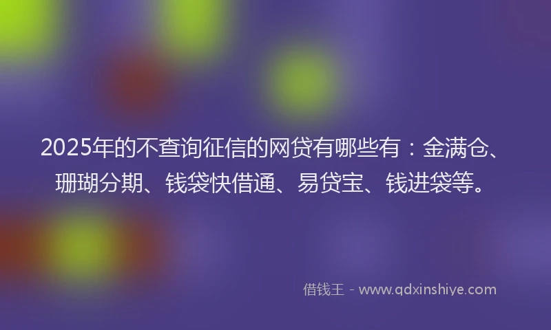 2025年的不查询征信的网贷有哪些有：金满仓、珊瑚分期、钱袋快借通、易贷宝、钱进袋等。