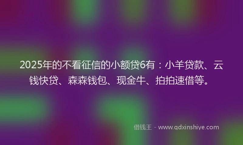 2025年的不看征信的小额贷6有：小羊贷款、云钱快贷、森森钱包、现金牛、拍拍速借等。