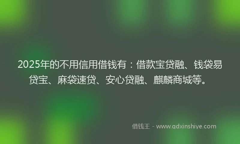 2025年的不用信用借钱有：借款宝贷融、钱袋易贷宝、麻袋速贷、安心贷融、麒麟商城等。