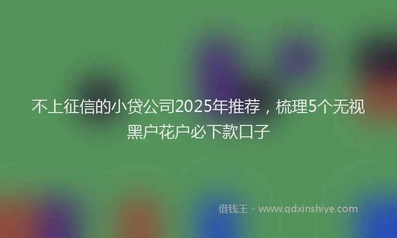 不上征信的小贷公司2025年推荐，梳理5个无视黑户花户必下款口子