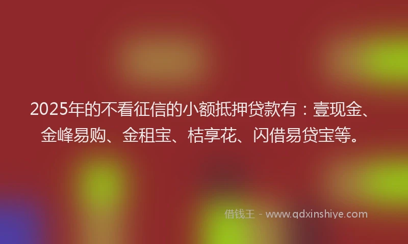 2025年的不看征信的小额抵押贷款有：壹现金、金峰易购、金租宝、桔享花、闪借易贷宝等。