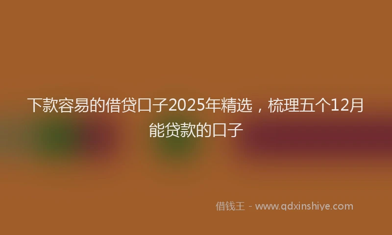 下款容易的借贷口子2025年精选,梳理五个12月能贷款的口子