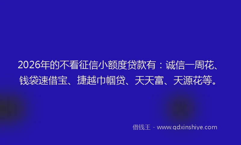 2026年的不看征信小额度贷款有：诚信一周花、钱袋速借宝、捷越巾帼贷、天天富、天源花等。