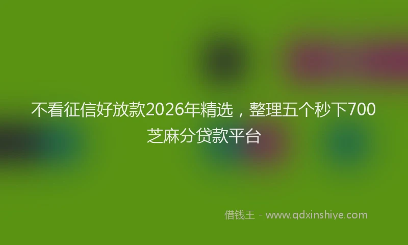 不看征信好放款2026年精选，整理五个秒下700芝麻分贷款平台