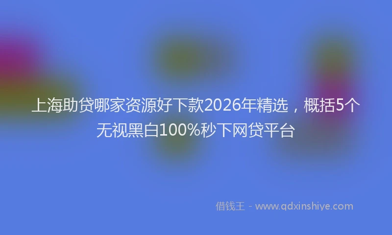 上海助贷哪家资源好下款2026年精选，概括5个无视黑白100%秒下网贷平台