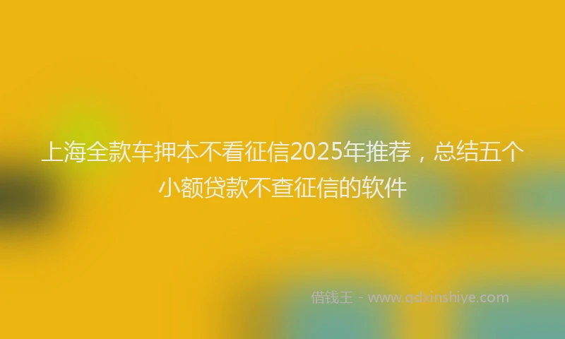 上海全款车押本不看征信2025年推荐，总结五个小额贷款不查征信的软件