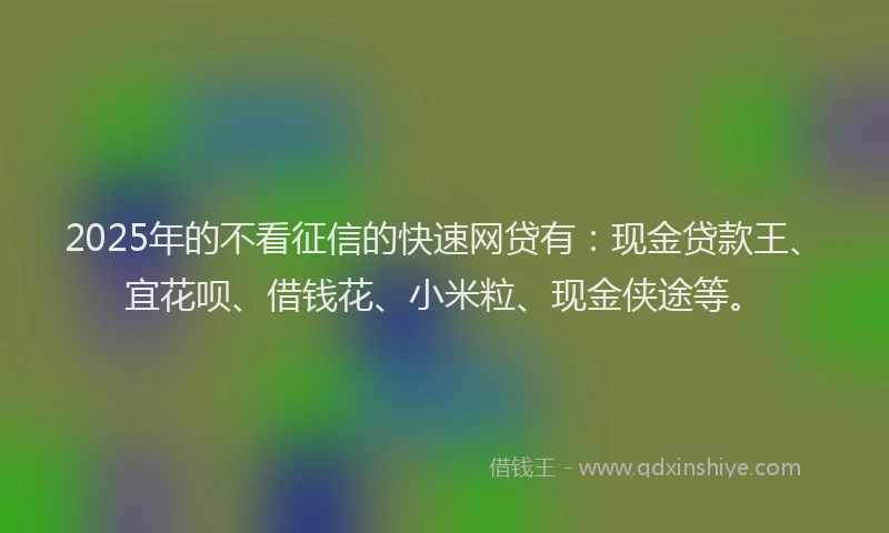 2025年的不看征信的快速网贷有：现金贷款王、宜花呗、借钱花、小米粒、现金侠途等。