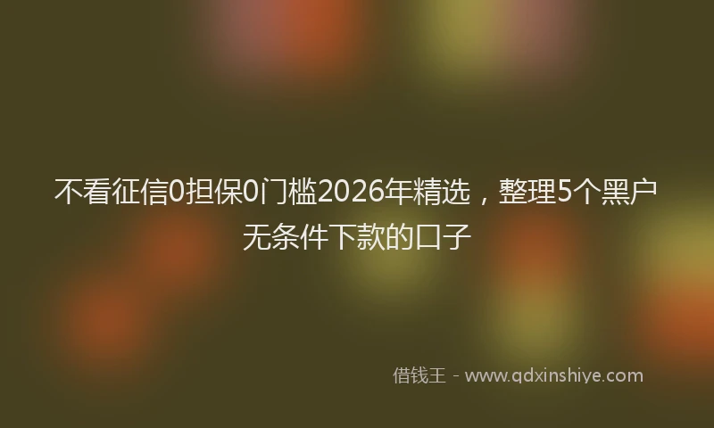 不看征信0担保0门槛2026年精选，整理5个黑户无条件下款的口子