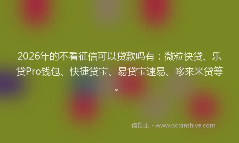 2026年的不看征信可以贷款吗有:微粒快贷、乐贷Pro钱包、快捷贷宝、易贷宝速易、哆来米贷等。
