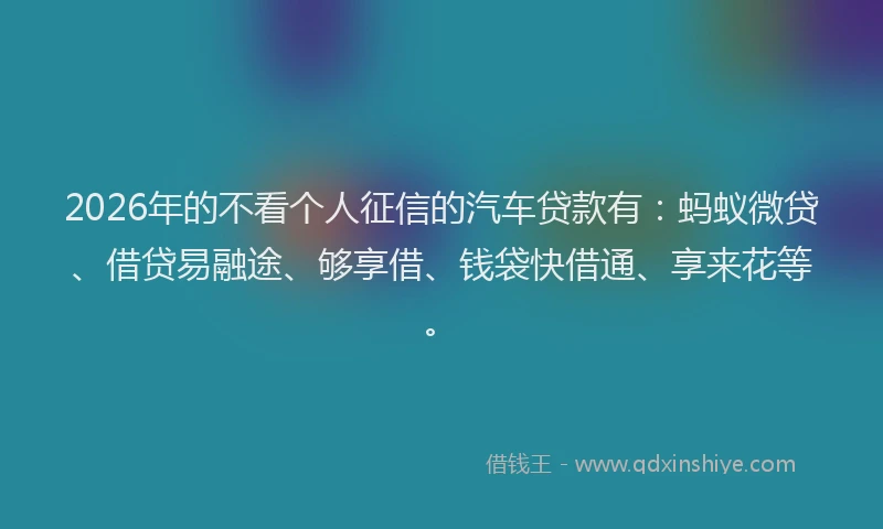 2026年的不看个人征信的汽车贷款有:蚂蚁微贷、借贷易融途、够享借、钱袋快借通、享来花等。