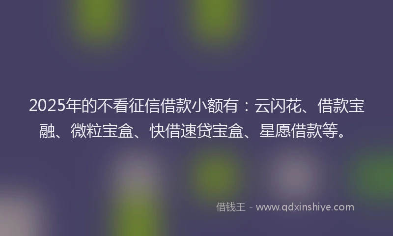 2025年的不看征信借款小额有：云闪花、借款宝融、微粒宝盒、快借速贷宝盒、星愿借款等。
