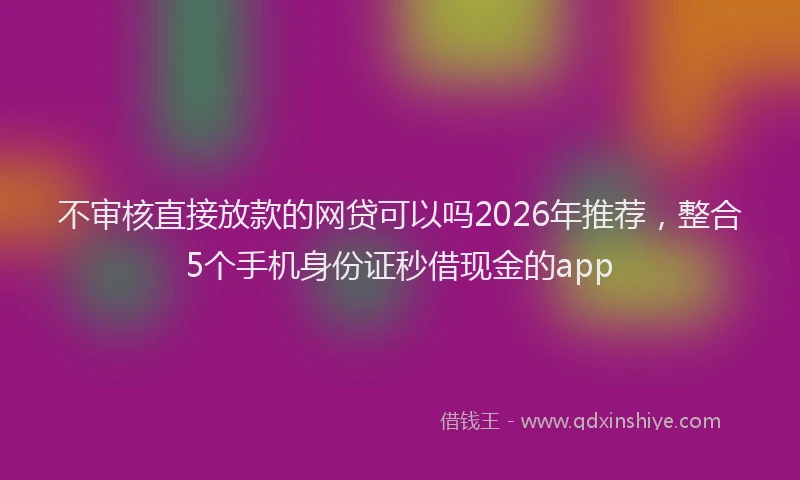 不审核直接放款的网贷可以吗2026年推荐，整合5个手机身份证秒借现金的app
