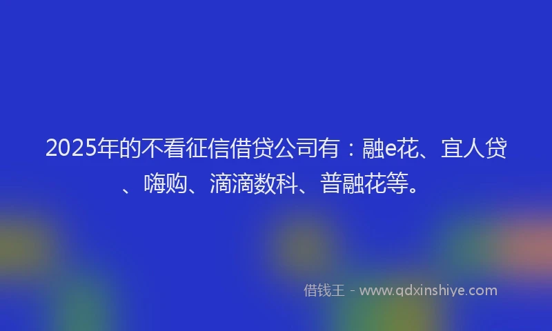 2025年的不看征信借贷公司有：融e花、宜人贷、嗨购、滴滴数科、普融花等。