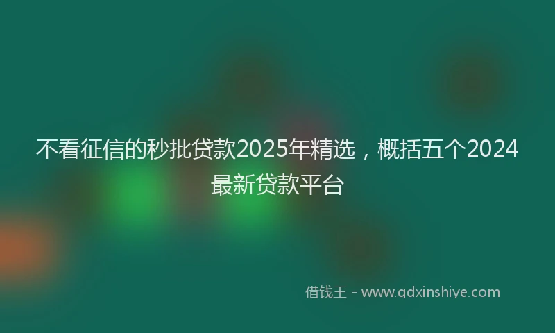 不看征信的秒批贷款2025年精选，概括五个2024最新贷款平台