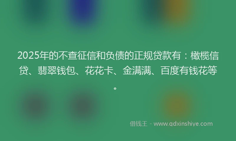 2025年的不查征信和负债的正规贷款有：橄榄信贷、翡翠钱包、花花卡、金满满、百度有钱花等。