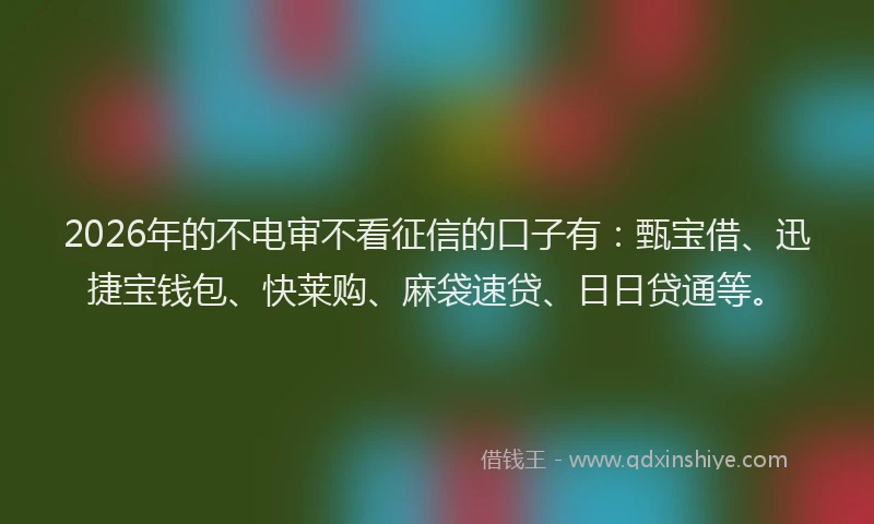 2026年的不电审不看征信的口子有：甄宝借、迅捷宝钱包、快莱购、麻袋速贷、日日贷通等。
