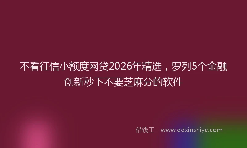 不看征信小额度网贷2026年精选，罗列5个金融创新秒下不要芝麻分的软件