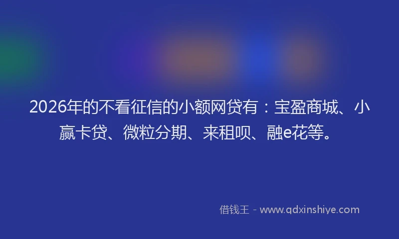 2026年的不看征信的小额网贷有：宝盈商城、小赢卡贷、微粒分期、来租呗、融e花等。