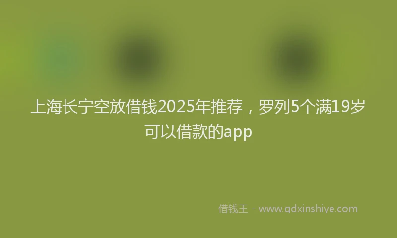 上海长宁空放借钱2025年推荐，罗列5个满19岁可以借款的app