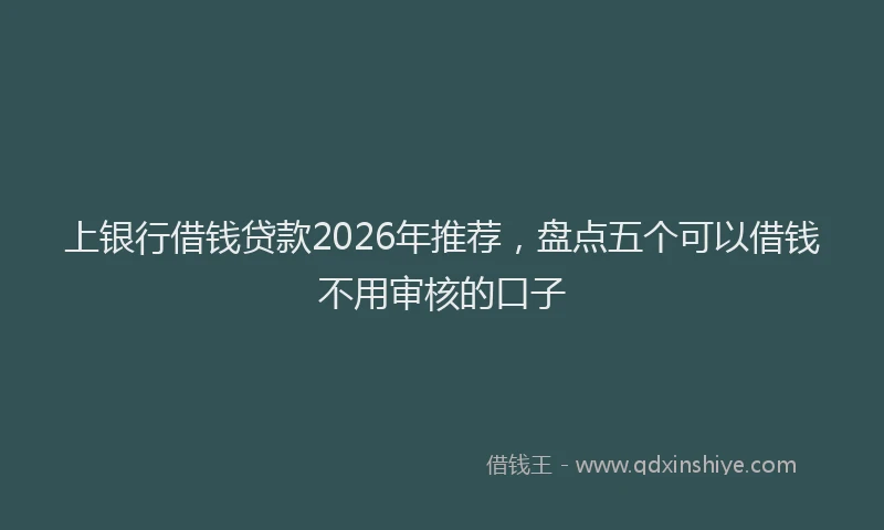 上银行借钱贷款2026年推荐，盘点五个可以借钱不用审核的口子