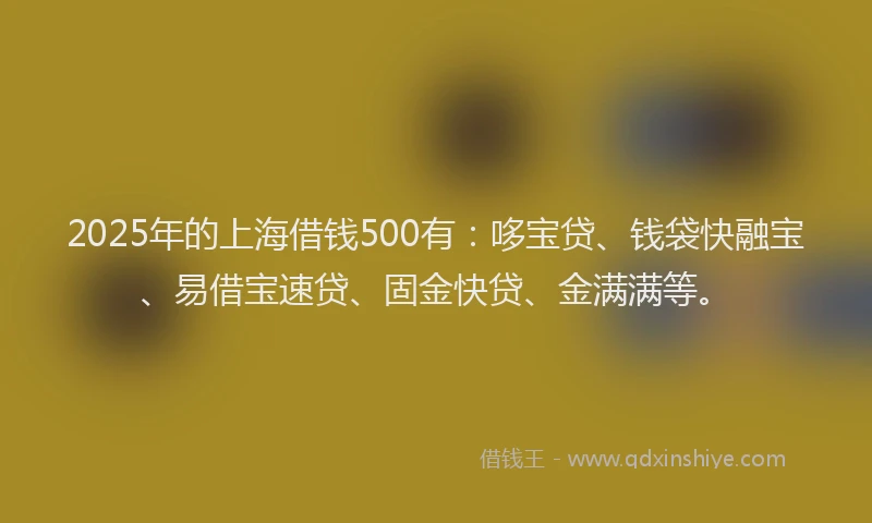 2025年的上海借钱500有：哆宝贷、钱袋快融宝、易借宝速贷、固金快贷、金满满等。