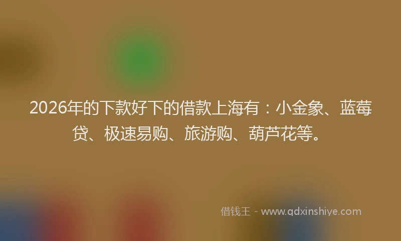 2026年的下款好下的借款上海有：小金象、蓝莓贷、极速易购、旅游购、葫芦花等。