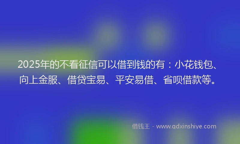 2025年的不看征信可以借到钱的有:小花钱包、向上金服、借贷宝易、平安易借、省呗借款等。