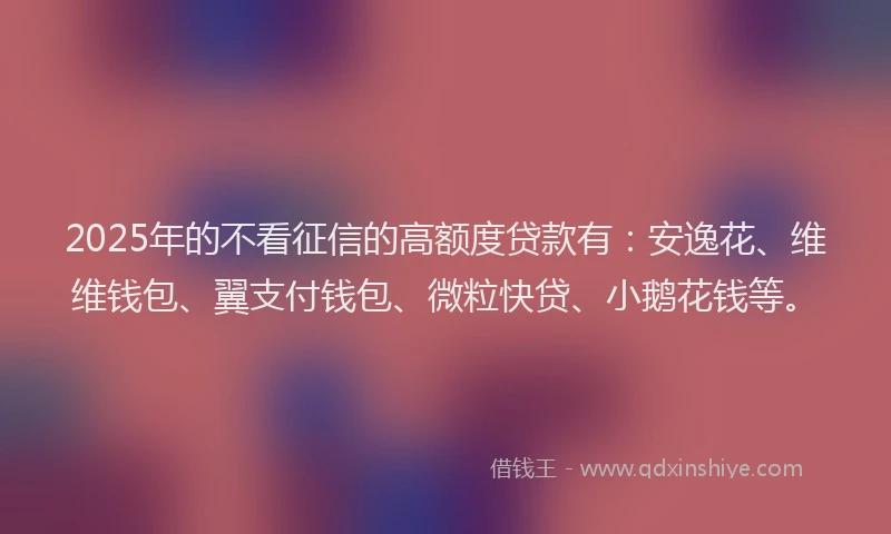 2025年的不看征信的高额度贷款有：安逸花、维维钱包、翼支付钱包、微粒快贷、小鹅花钱等。