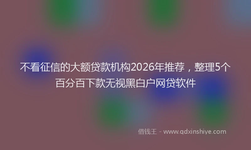 不看征信的大额贷款机构2026年推荐，整理5个百分百下款无视黑白户网贷软件
