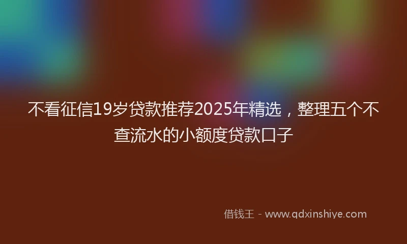 不看征信19岁贷款推荐2025年精选，整理五个不查流水的小额度贷款口子