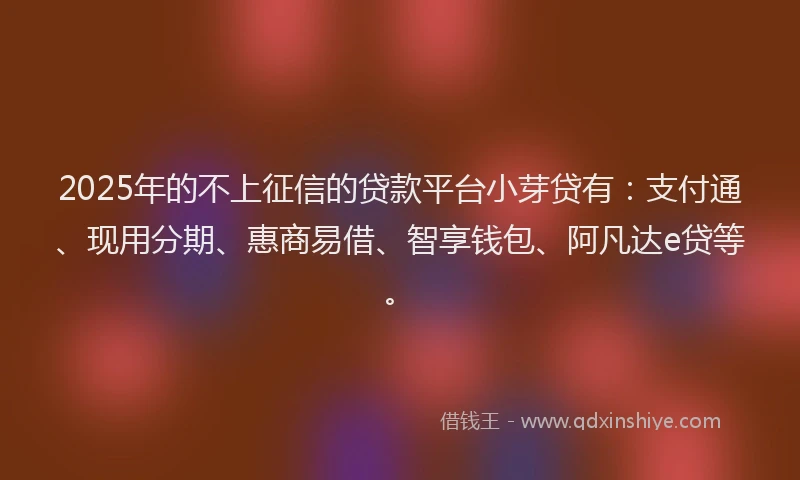 2025年的不上征信的贷款平台小芽贷有：支付通、现用分期、惠商易借、智享钱包、阿凡达e贷等。
