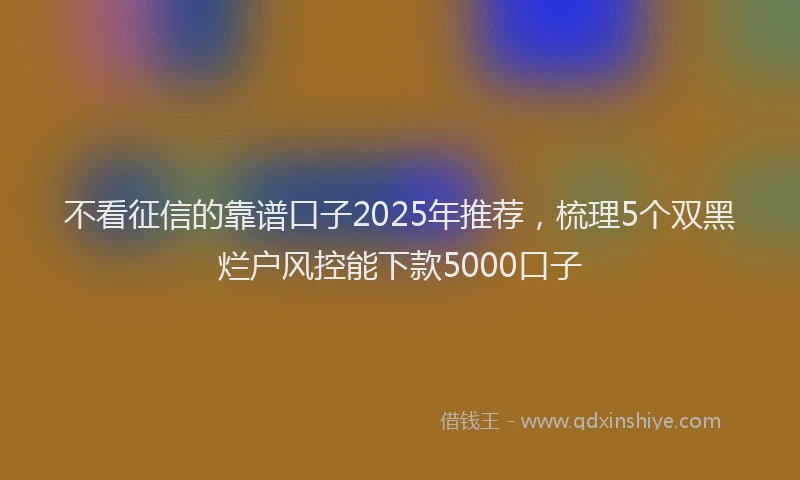 不看征信的靠谱口子2025年推荐，梳理5个双黑烂户风控能下款5000口子